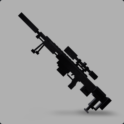 DSR-1 滅音型
